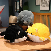 Neko your gentle companion